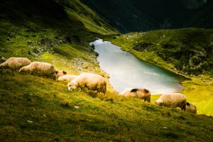 ретрит в Україні